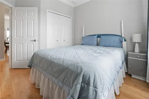 9204 Fox Sparrow Road Tampa FL 33626