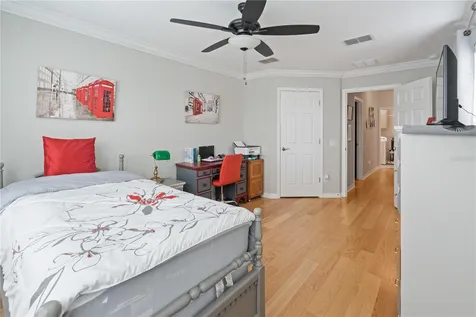 9204 Fox Sparrow Road Tampa FL 33626