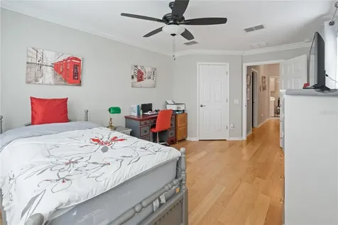 9204 Fox Sparrow Road Tampa FL 33626