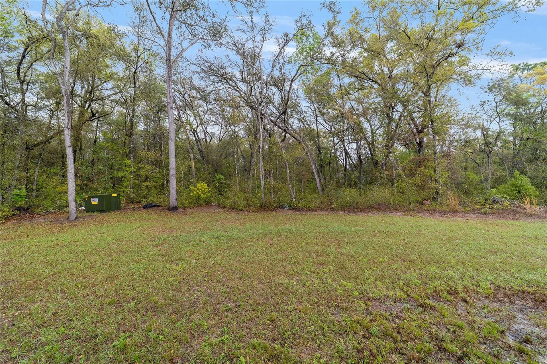 2349 W Juan Vega Lane Dunnellon FL 34434