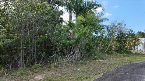 Urb. Haciendas Del Dorado Calle Maga Toa Alta PR 00953