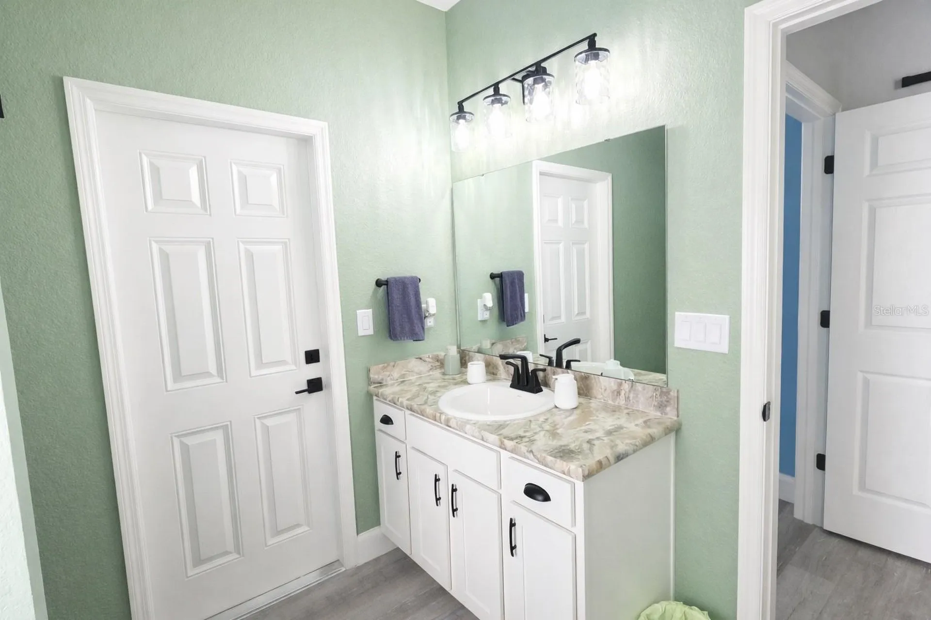 185 St Thomas Drive Mulberry FL 33860