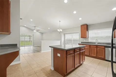 433 Down Pine Drive Seffner FL 33584