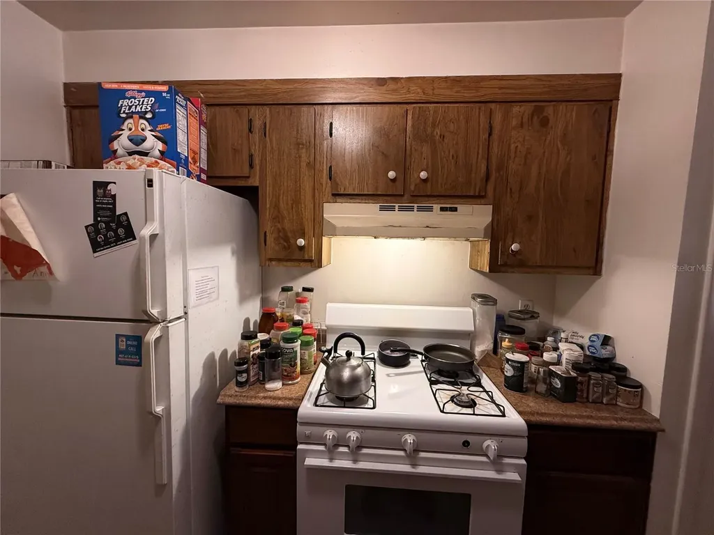 3243 & 3245 Split Willow Drive Orlando FL 32808