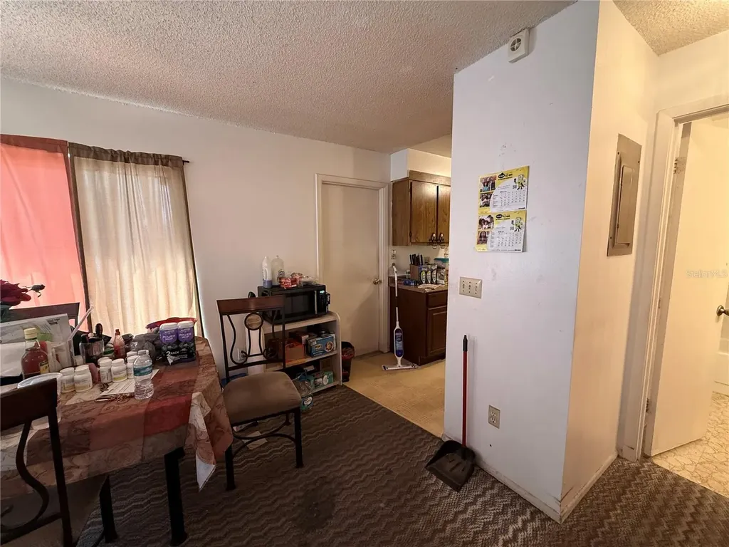 3243 & 3245 Split Willow Drive Orlando FL 32808