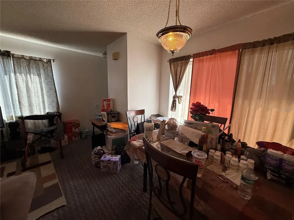 3243 & 3245 Split Willow Drive Orlando FL 32808