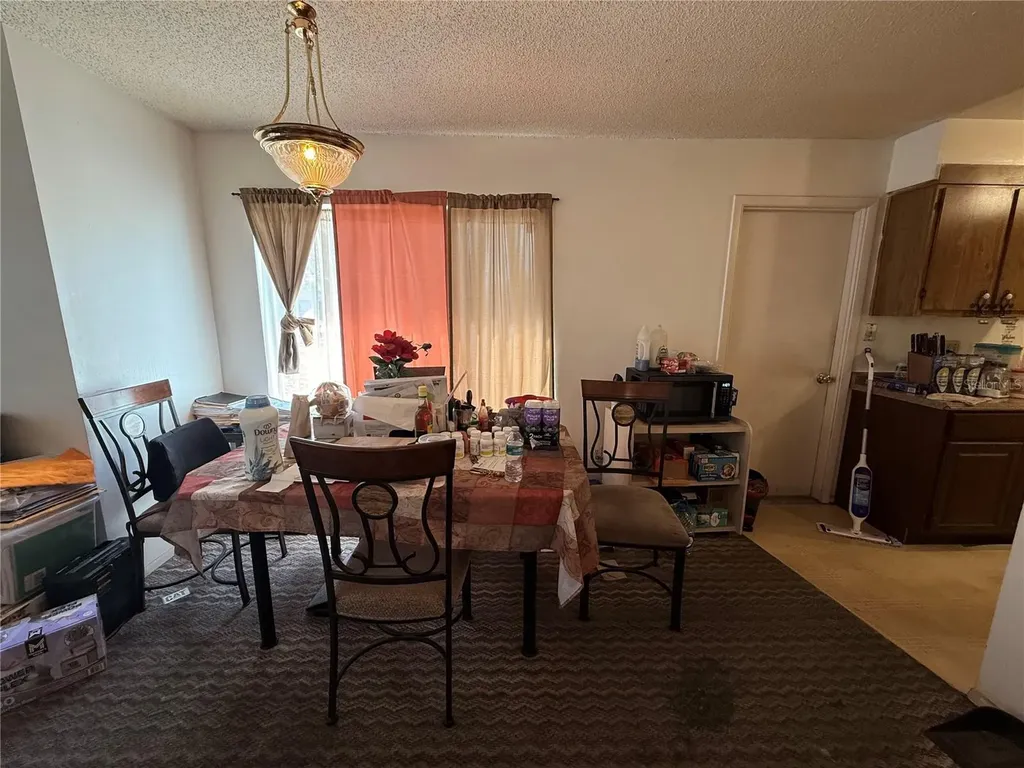 3243 & 3245 Split Willow Drive Orlando FL 32808