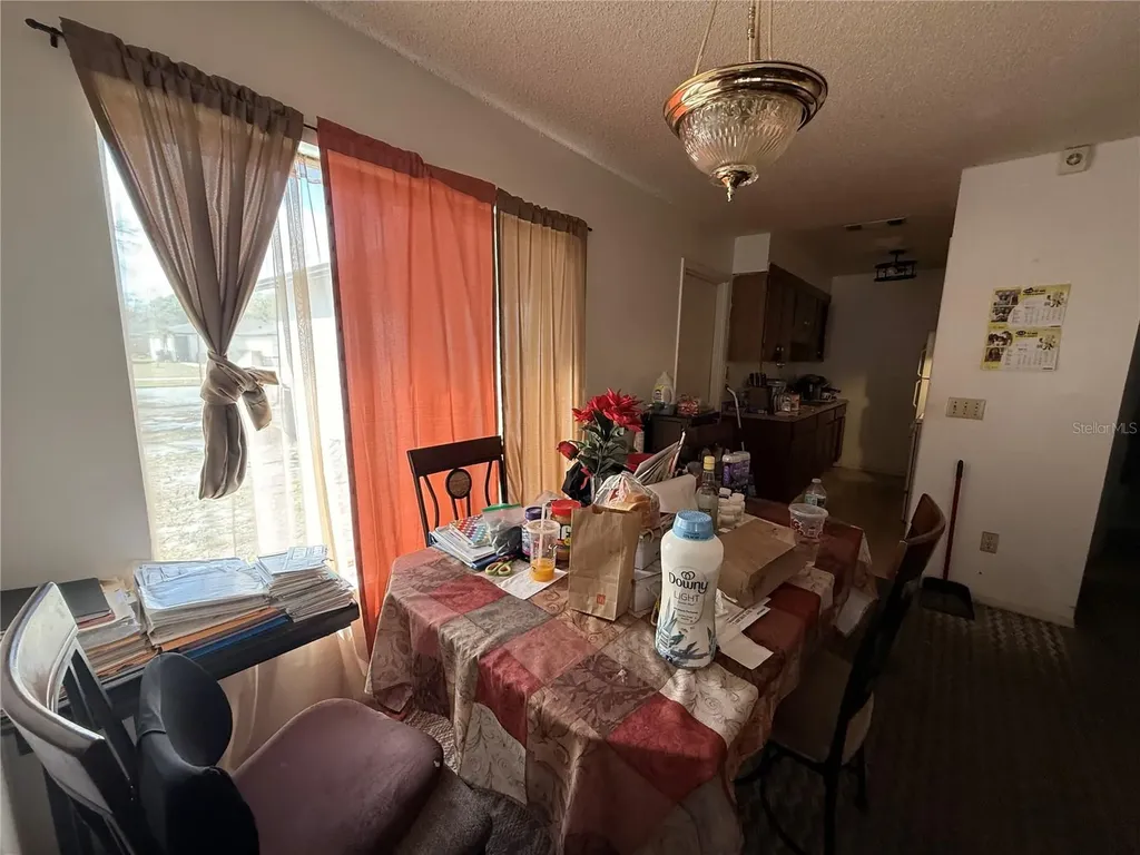 3243 & 3245 Split Willow Drive Orlando FL 32808