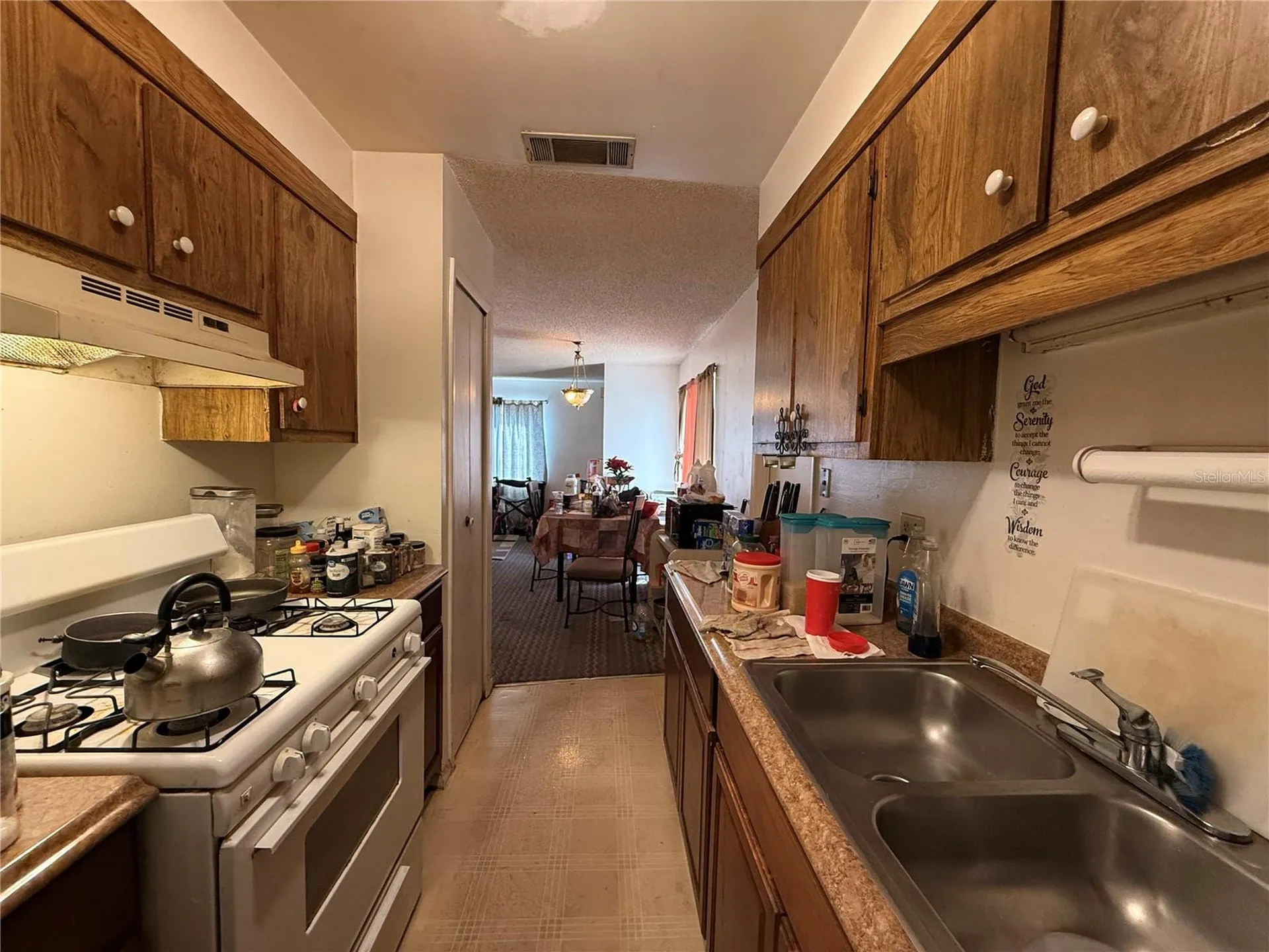 3243 & 3245 Split Willow Drive Orlando FL 32808