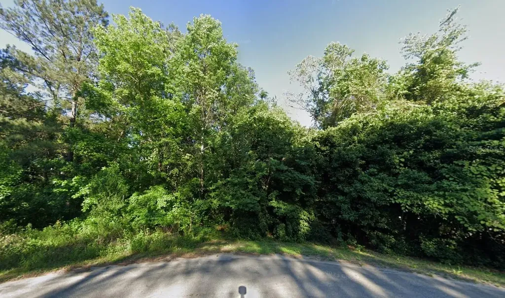 220 Blind Brook Road Havana FL 32333
