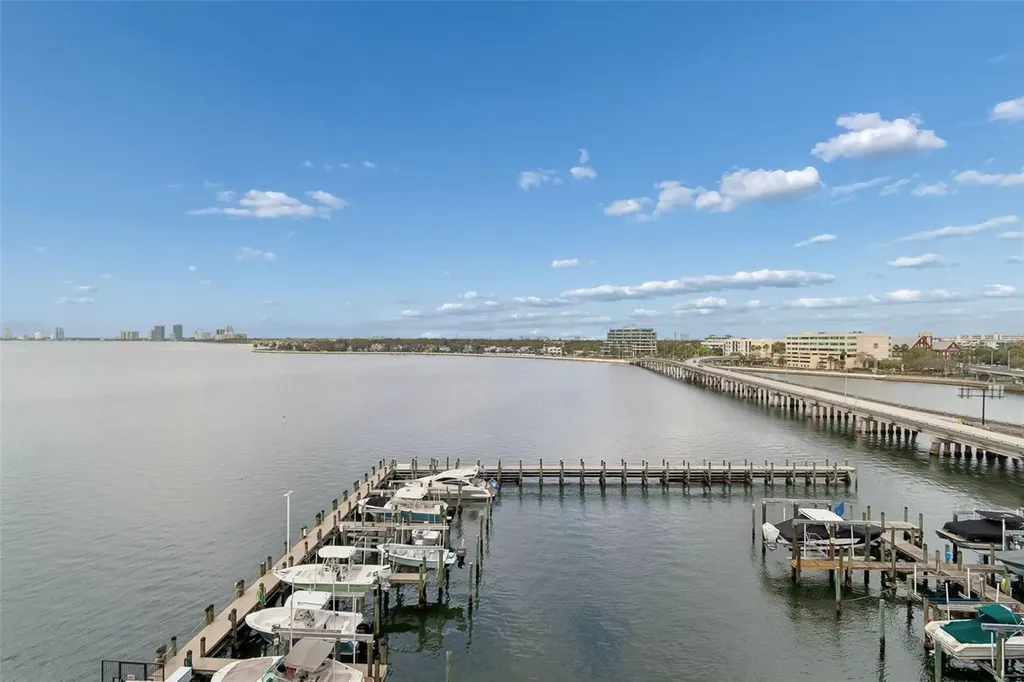 2 Adalia Avenue Tampa FL 33606