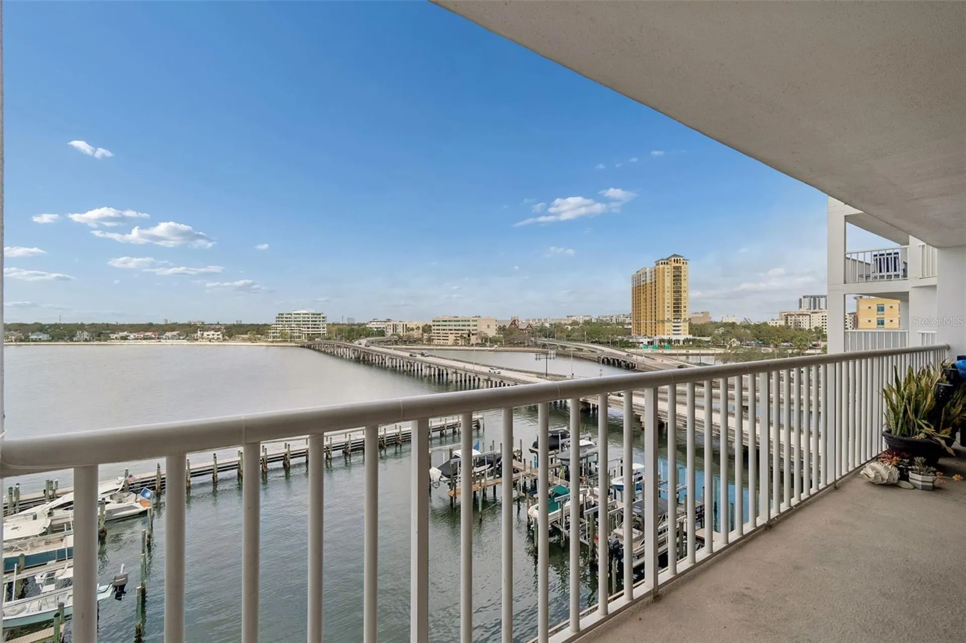 2 Adalia Avenue Tampa FL 33606