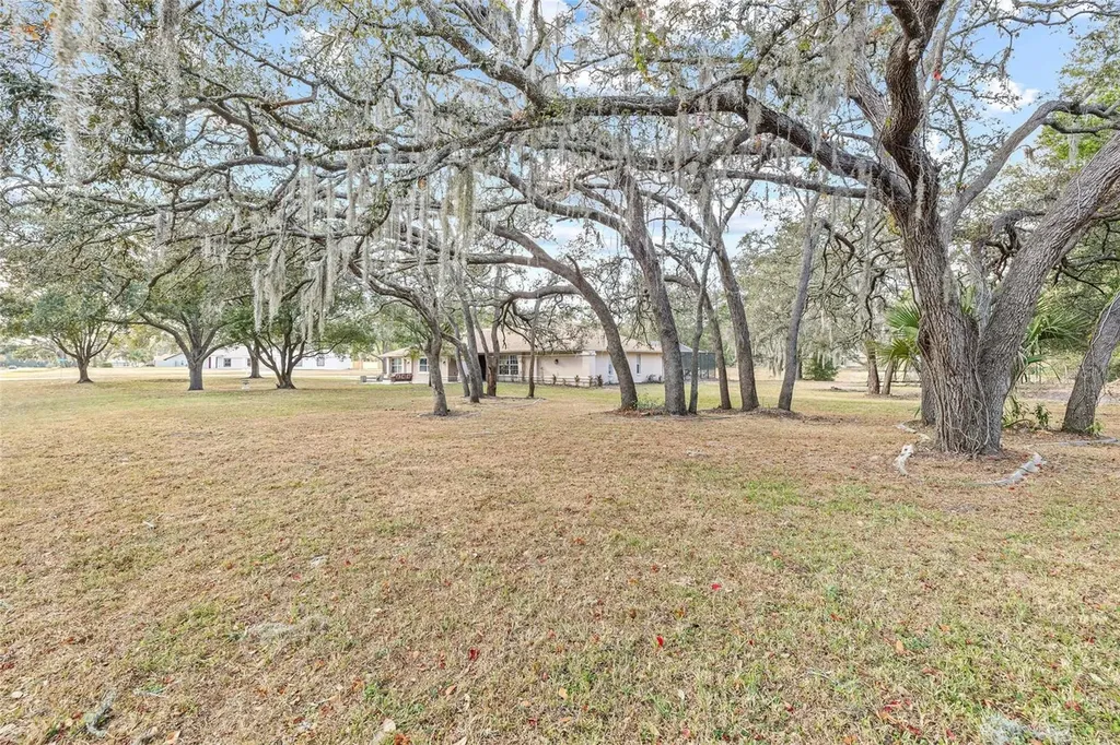 1232 Barranca Avenue Spring Hill FL 34609