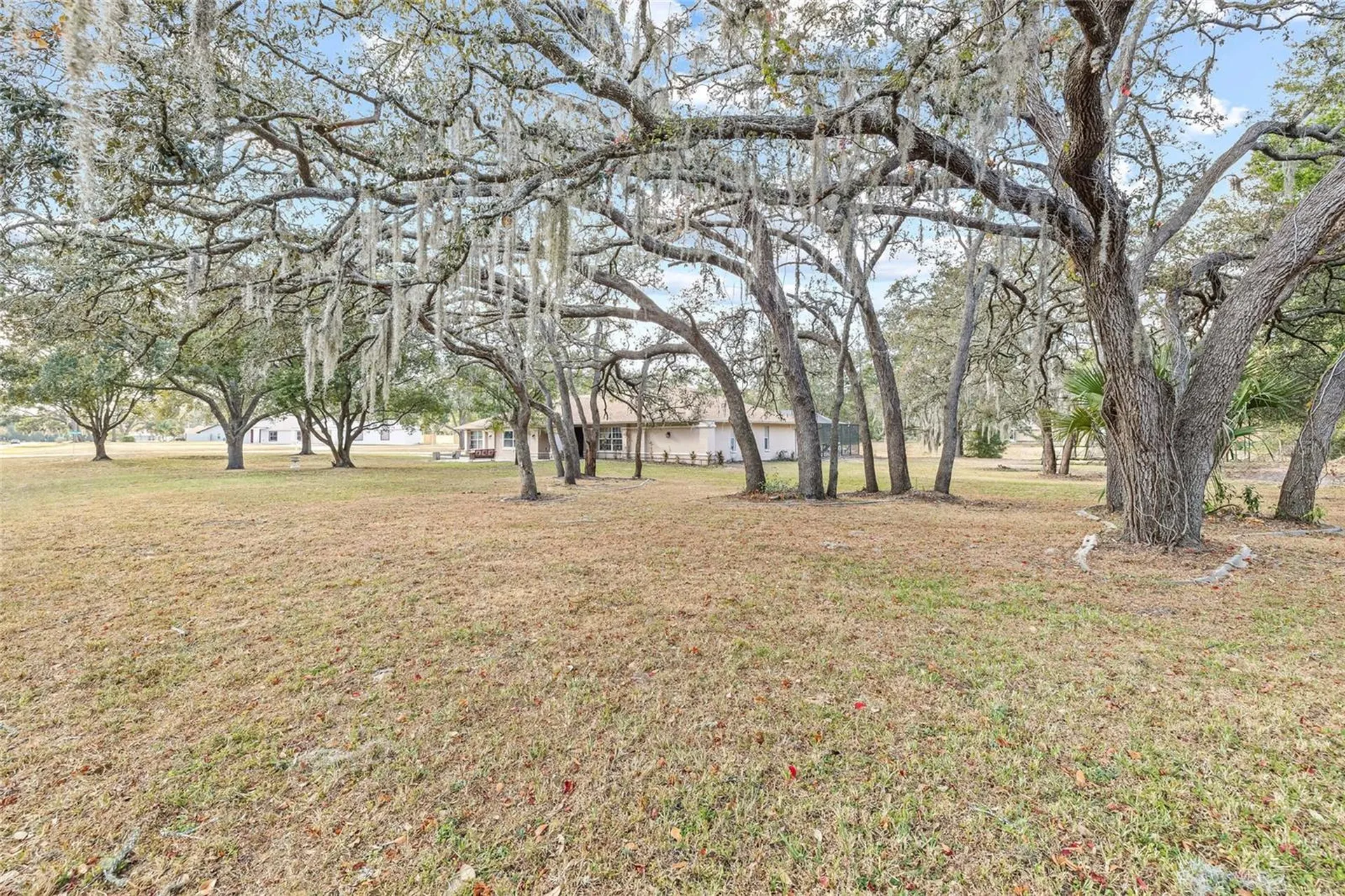 1232 Barranca Avenue Spring Hill FL 34609