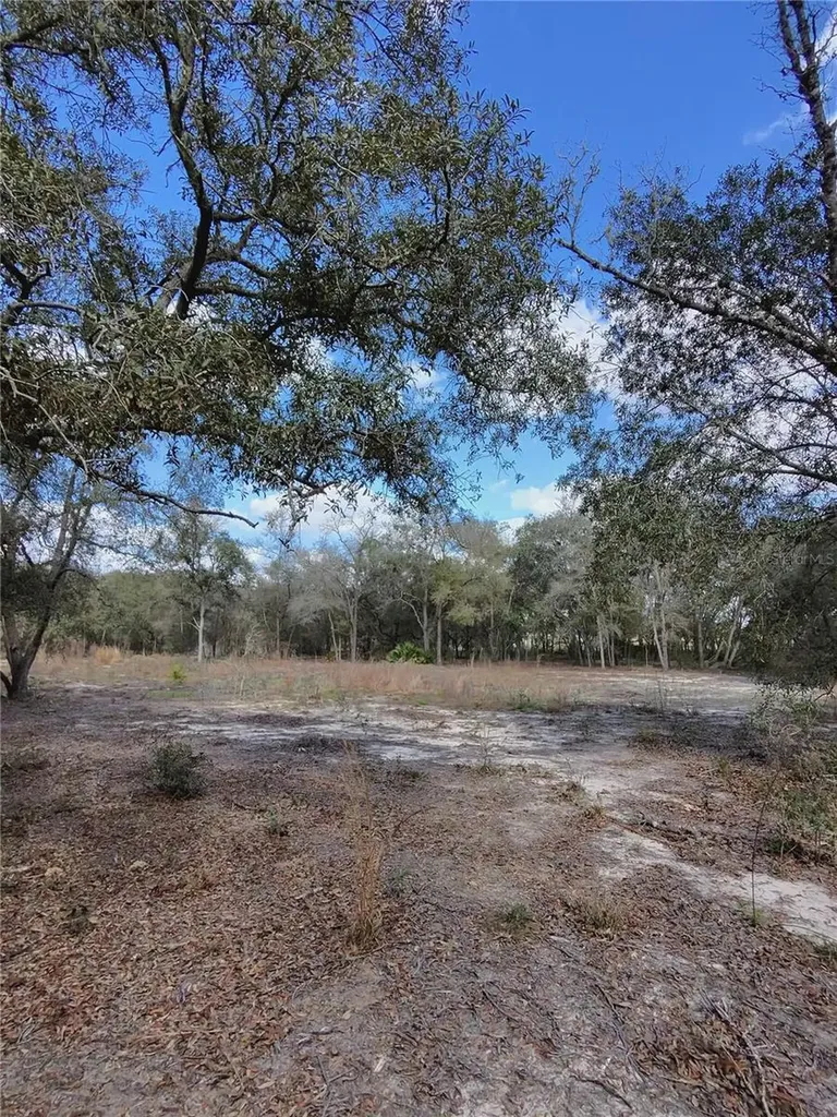 Tbd NE 96th Street Archer FL 32618