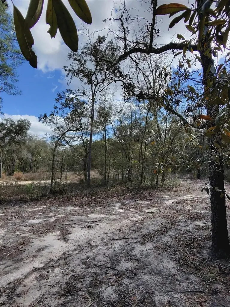 Tbd NE 96th Street Archer FL 32618