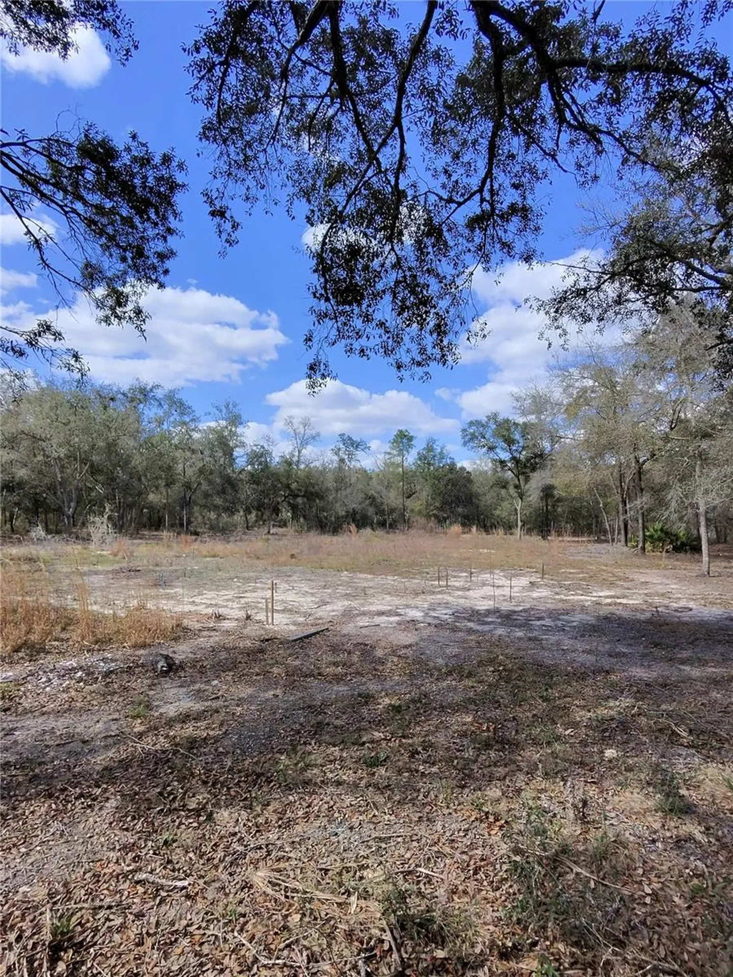 Tbd NE 96th Street Archer FL 32618