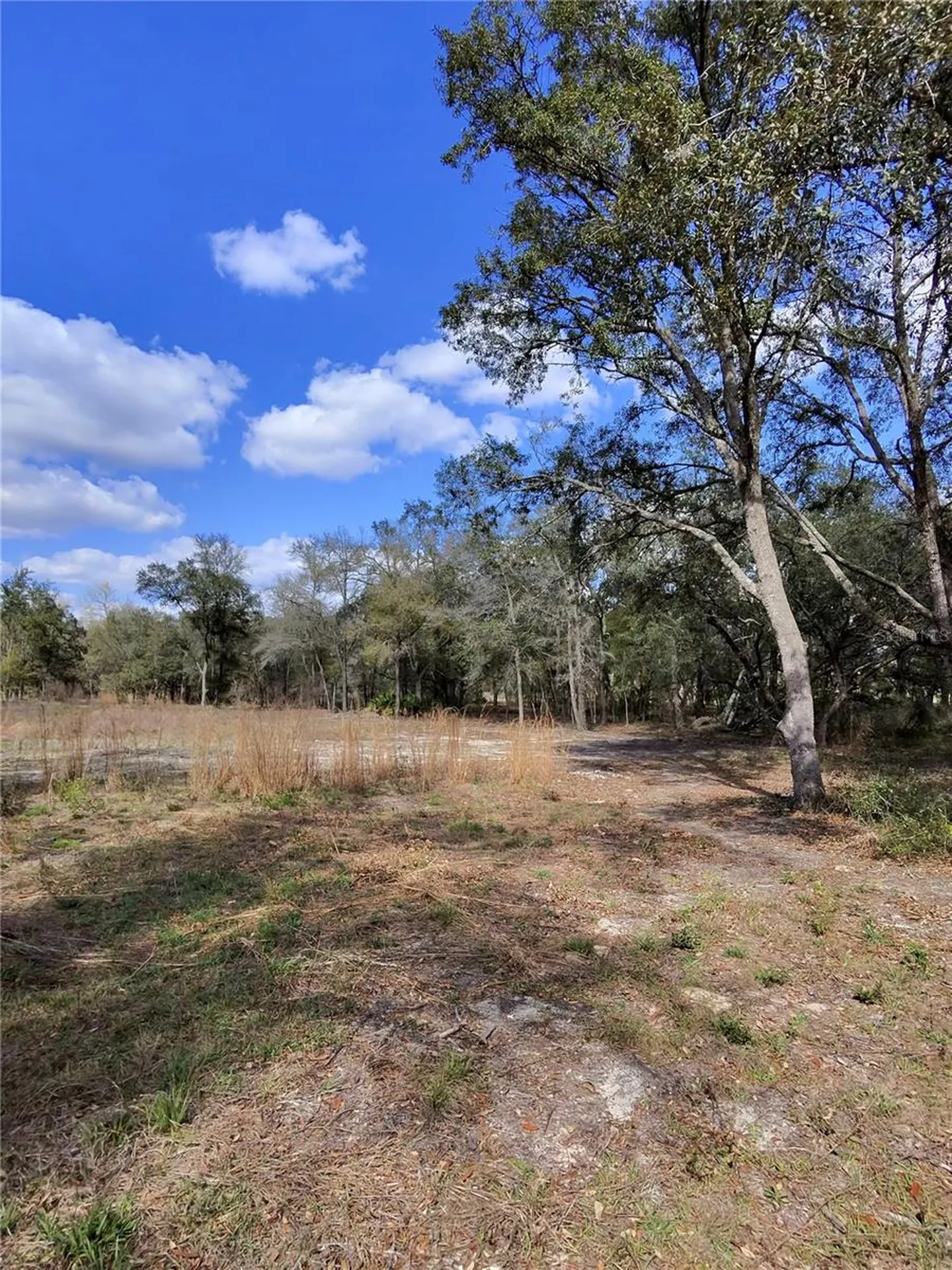 Tbd NE 96th Street Archer FL 32618