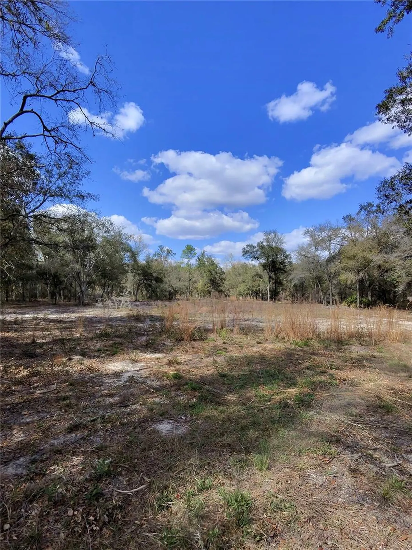 Tbd NE 96th Street Archer FL 32618