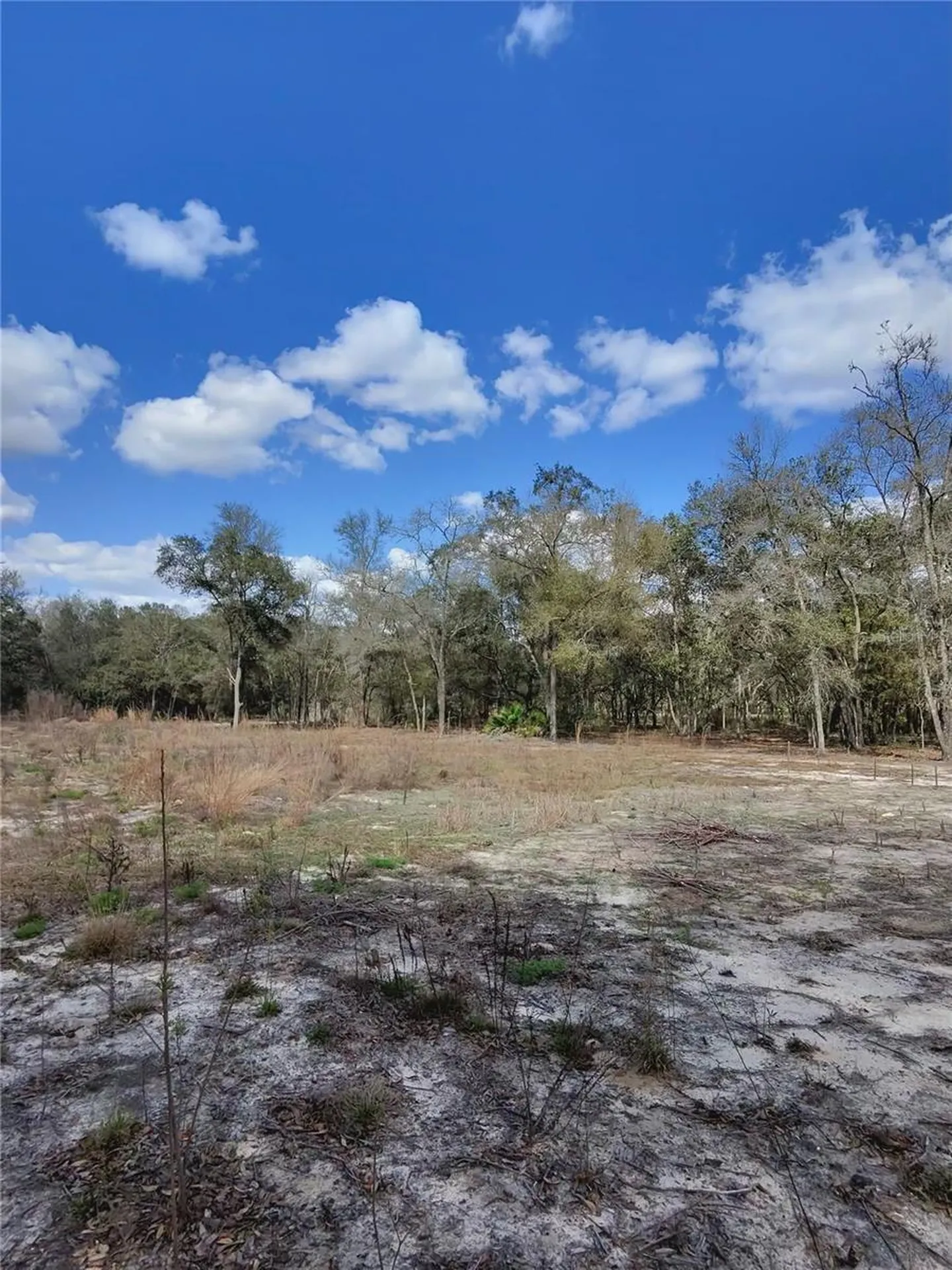 Tbd NE 96th Street Archer FL 32618
