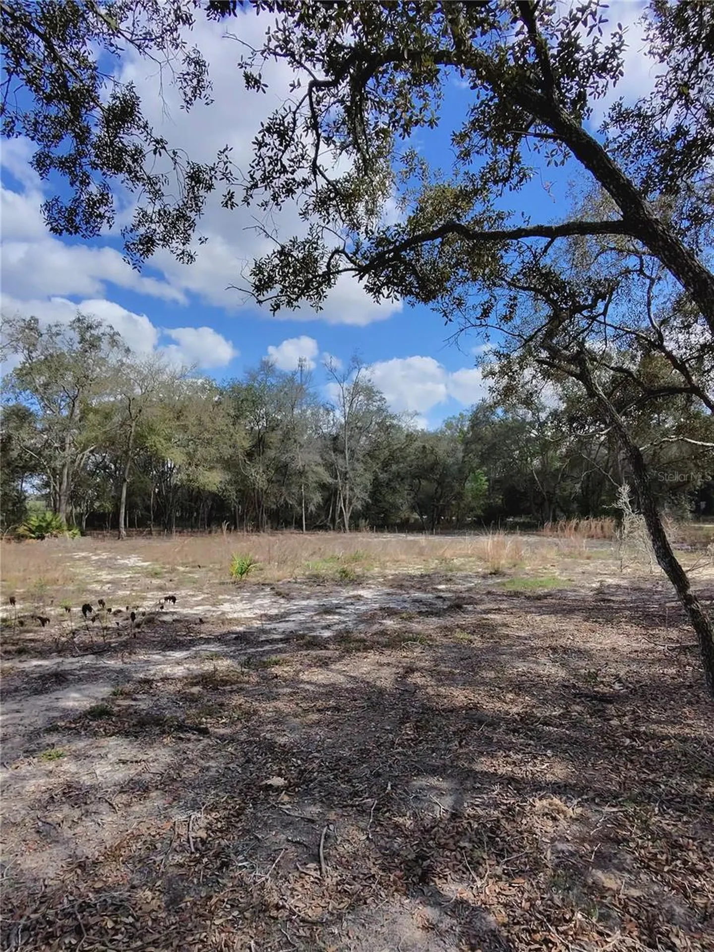 Tbd NE 96th Street Archer FL 32618