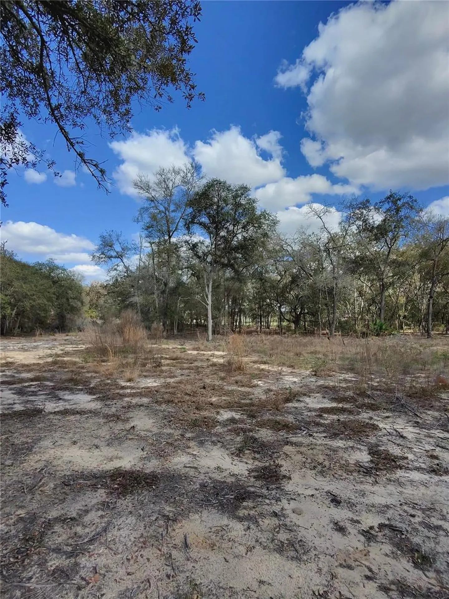 Tbd NE 96th Street Archer FL 32618