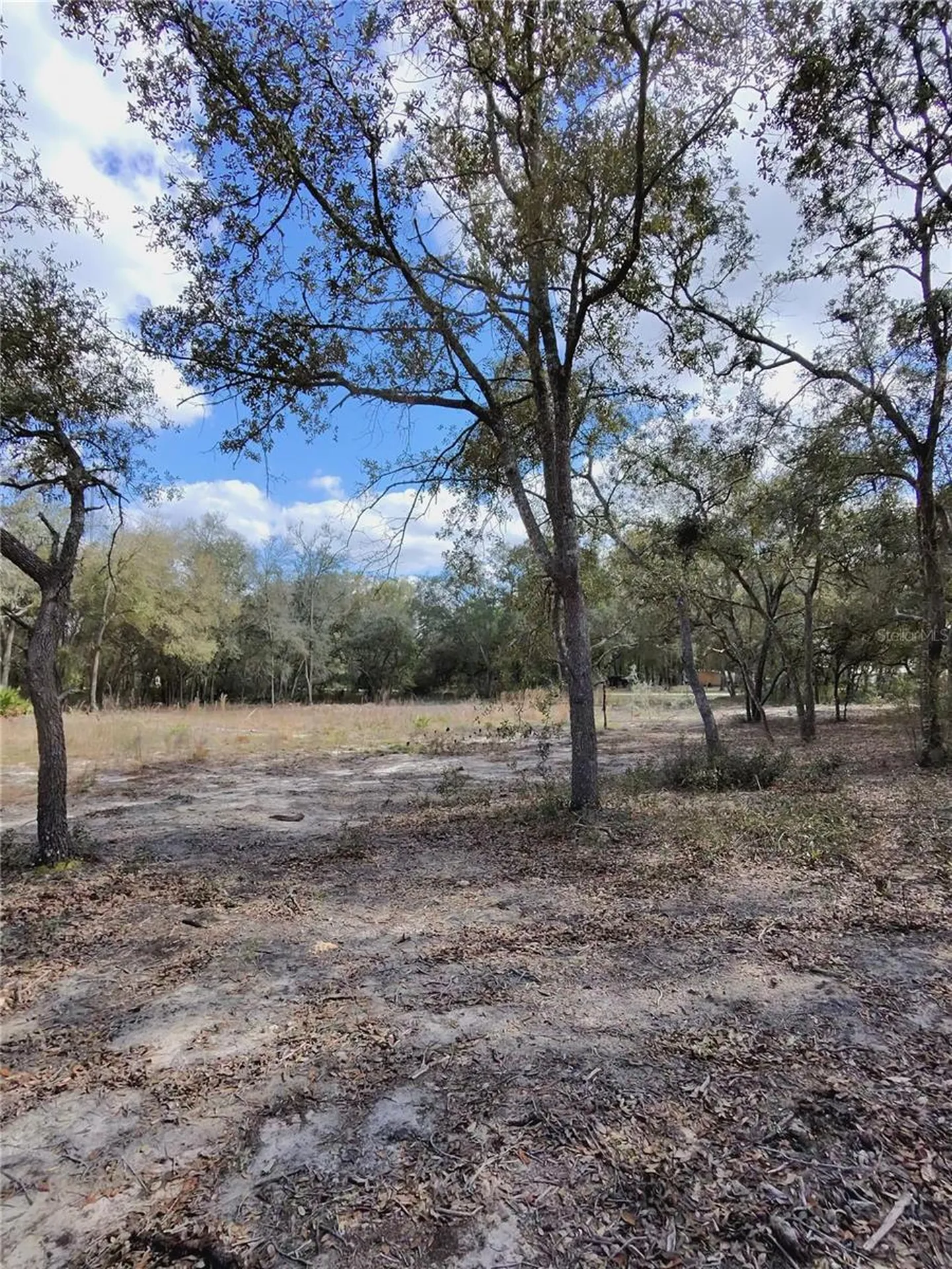 Tbd NE 96th Street Archer FL 32618