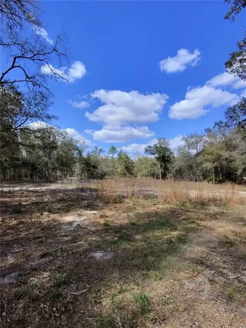 Tbd NE 96th Street Archer FL 32618