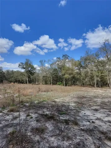 Tbd NE 96th Street Archer FL 32618