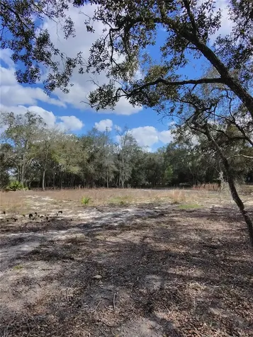 Tbd NE 96th Street Archer FL 32618