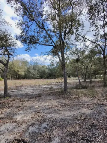 Tbd NE 96th Street Archer FL 32618