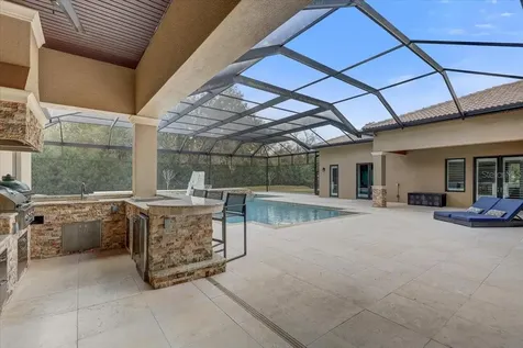 2620 Tylers River Run Lutz FL 33559