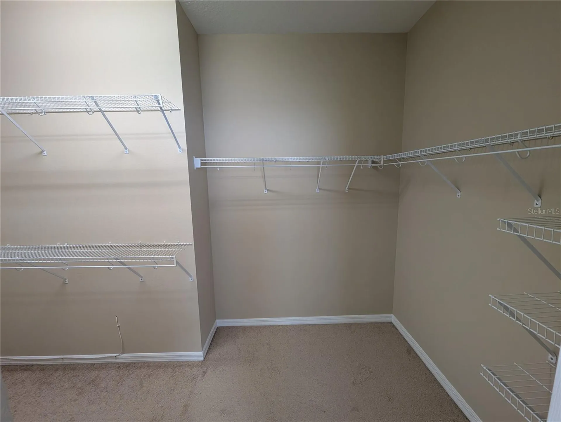 12717 Avelar Creek Drive Riverview FL 33578