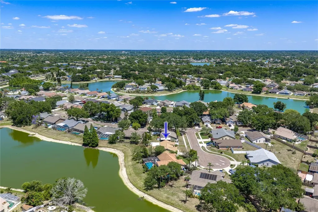 2104 Haydon Court Brandon FL 33511