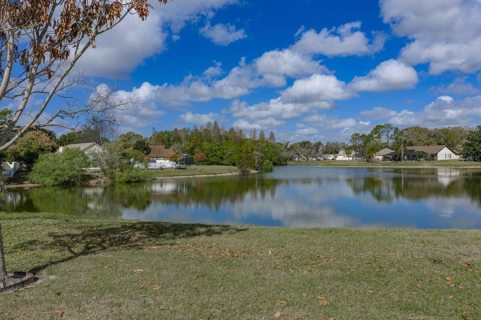 2104 Haydon Court Brandon FL 33511