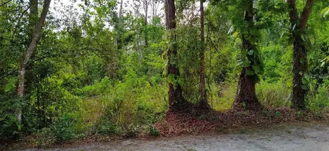 Marjorie Boulevard Longwood FL 32750