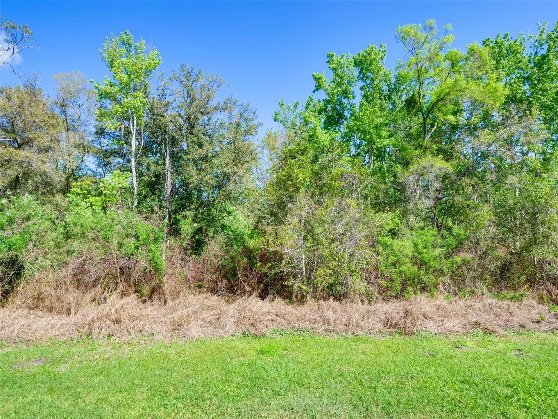 1289 Yellow Finch Drive Davenport FL 33837