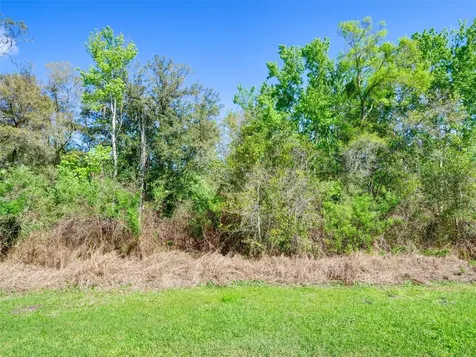 1289 Yellow Finch Drive Davenport FL 33837
