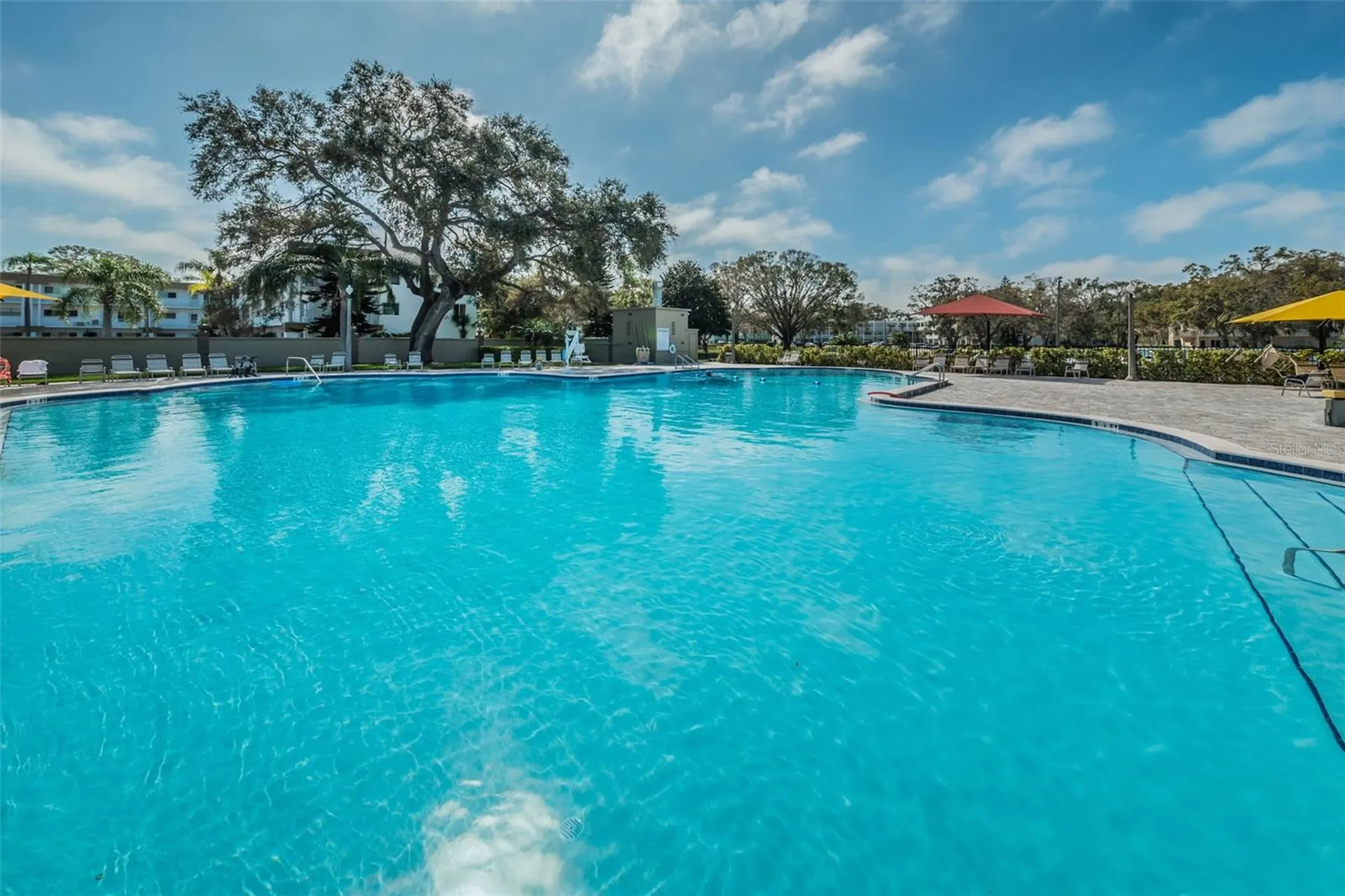 2404 Florentine Way Clearwater FL 33763