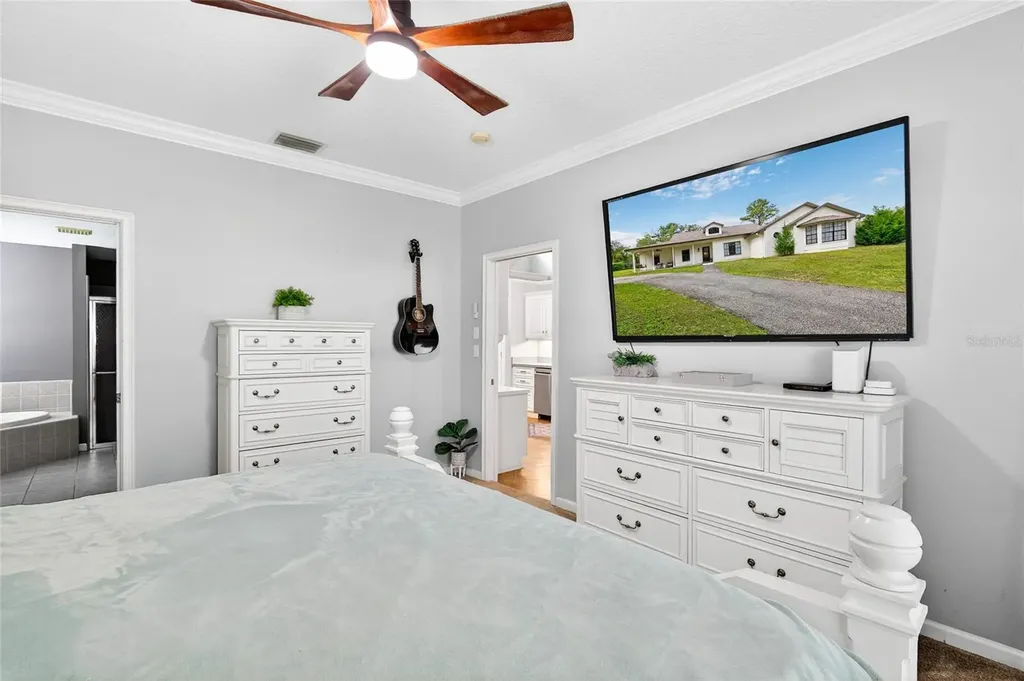22301 Coronado Somerset Drive Sorrento FL 32776