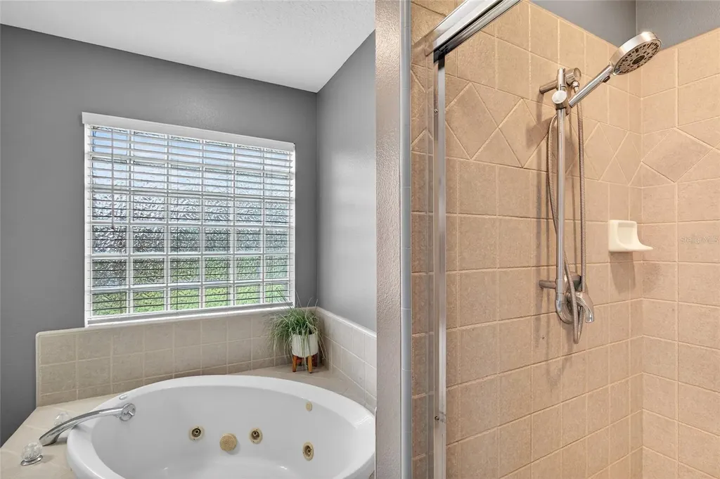22301 Coronado Somerset Drive Sorrento FL 32776