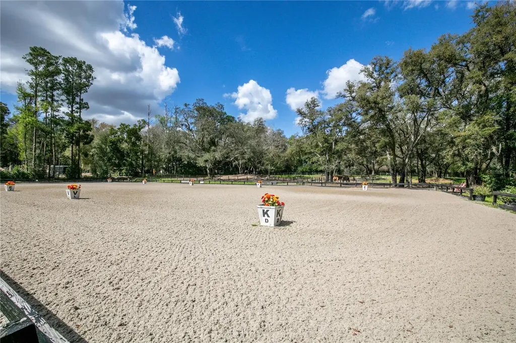 22301 Coronado Somerset Drive Sorrento FL 32776