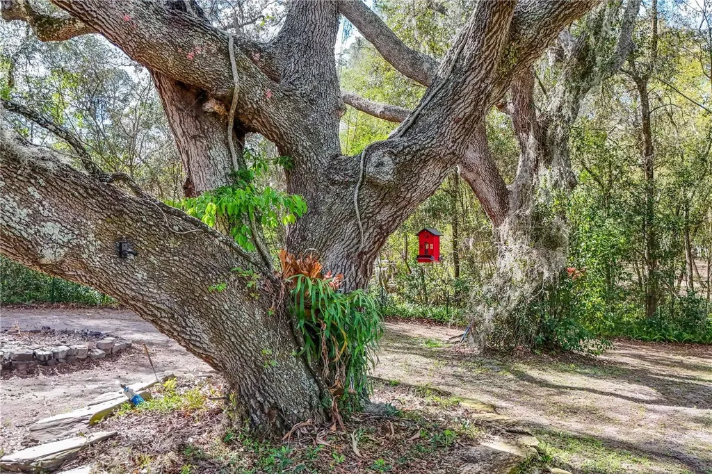 22301 Coronado Somerset Drive Sorrento FL 32776