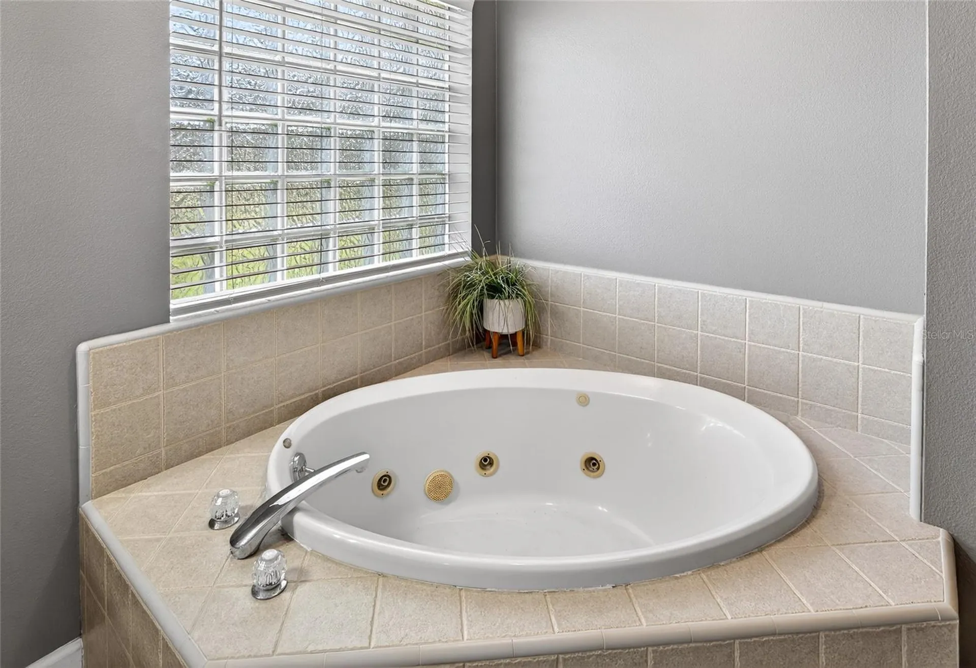22301 Coronado Somerset Drive Sorrento FL 32776