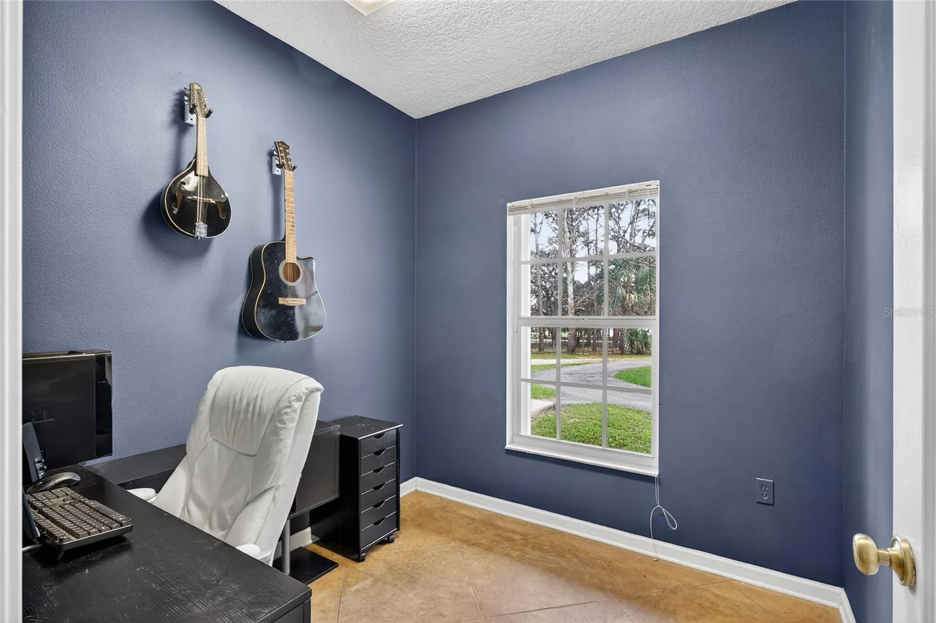 22301 Coronado Somerset Drive Sorrento FL 32776