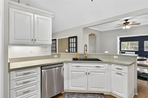 22301 Coronado Somerset Drive Sorrento FL 32776