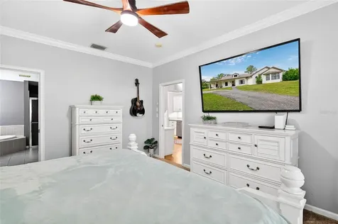 22301 Coronado Somerset Drive Sorrento FL 32776
