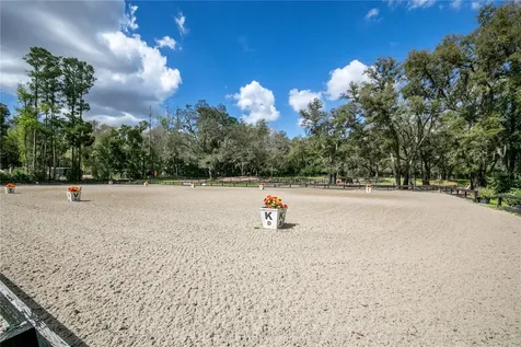22301 Coronado Somerset Drive Sorrento FL 32776