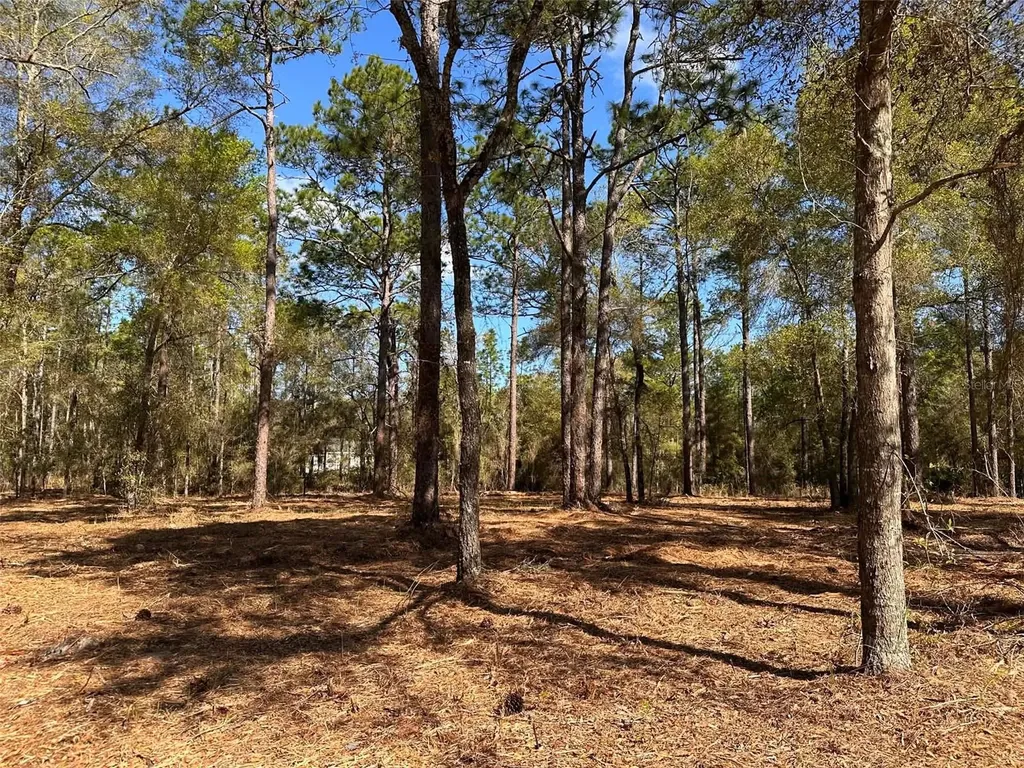 0 W Highway 40 Ocala FL 34481