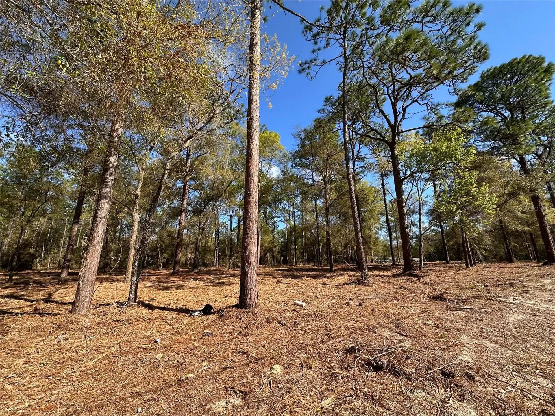 0 W Highway 40 Ocala FL 34481